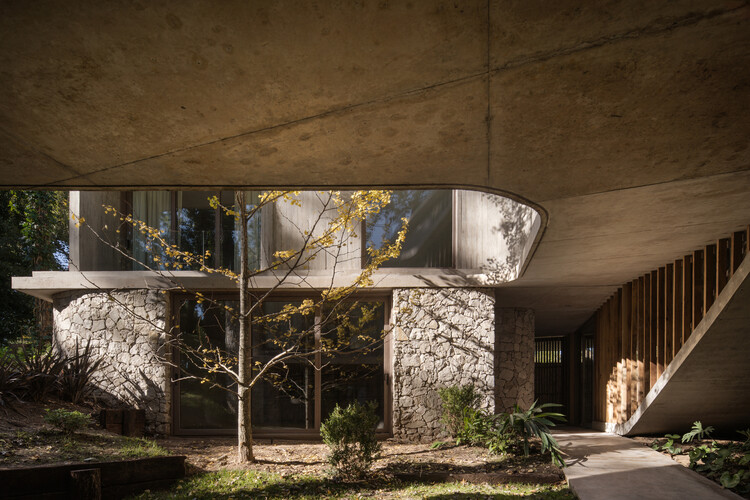 Treinta y Nueve Árboles / Grizzo Studio - Image 4 of 32