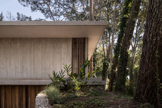 Treinta y Nueve Árboles / Grizzo Studio Treinta y Nueve Árboles / Grizzo Studio - Exterior Photography, Wood