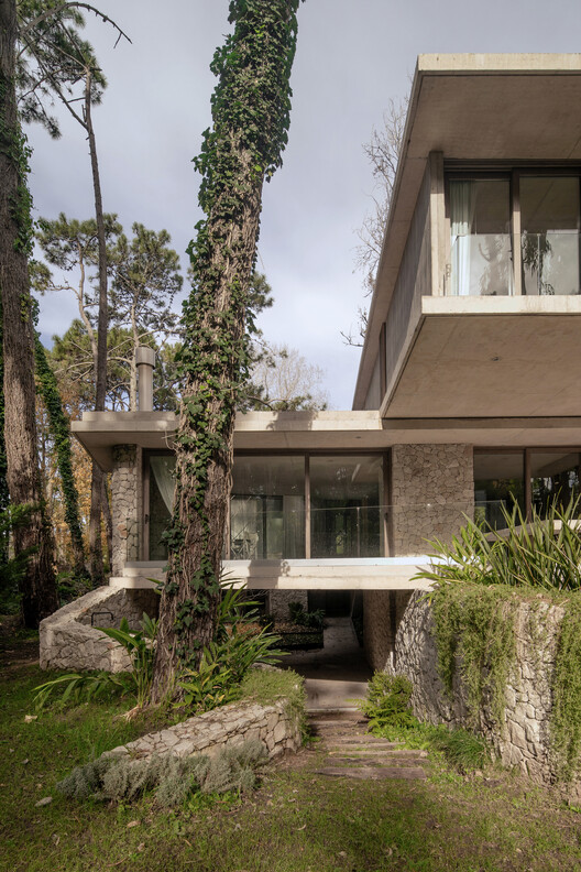Treinta y Nueve Árboles / Grizzo Studio Treinta y Nueve Árboles / Grizzo Studio - Exterior Photography
