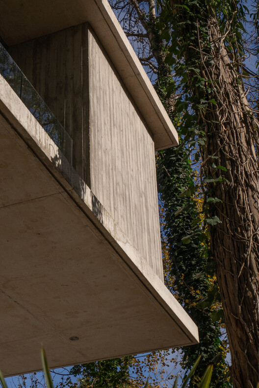 Treinta y Nueve Árboles / Grizzo Studio Treinta y Nueve Árboles / Grizzo Studio - Exterior Photography, Wood, Concrete