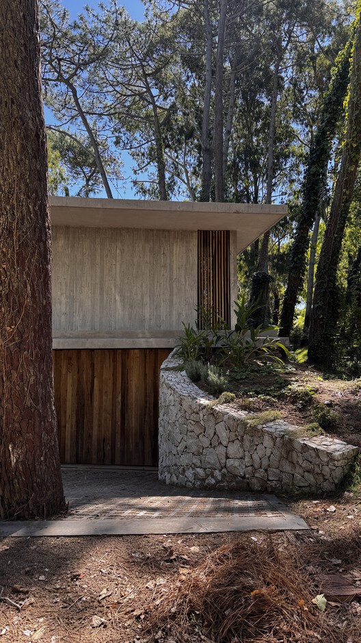 Treinta y Nueve Árboles / Grizzo Studio Treinta y Nueve Árboles / Grizzo Studio - Exterior Photography, Wood