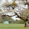 Pavillon of the Sliding Doors / Piertzovanis Toews - Community 