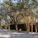 Pabellón de Flores Umbral / Cerron Arquitectos - fotografía exterior, madera