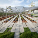 Neither Farm Nor Hotel: Why Agritourism Needs Its Own Architectural Typology - Image 2 of 4