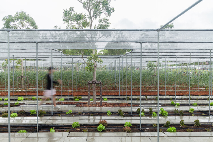 Neither Farm Nor Hotel: Why Agritourism Needs Its Own Architectural Typology - Featured Image