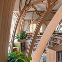 Bisagra Knowledge Forest Library/Studio: fotografía de interiores, madera, fijación de vigas
