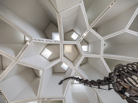 Natural History Museum Abu Dhabi / Mecanoo Natural History Museum Abu Dhabi / Mecanoo - Interior Photography, Lighting