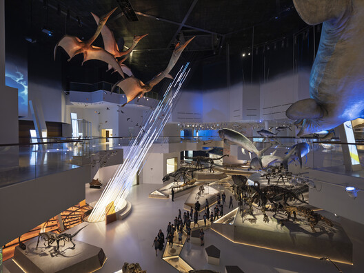 Natural History Museum Abu Dhabi / Mecanoo Natural History Museum Abu Dhabi / Mecanoo - Image 20 of 32