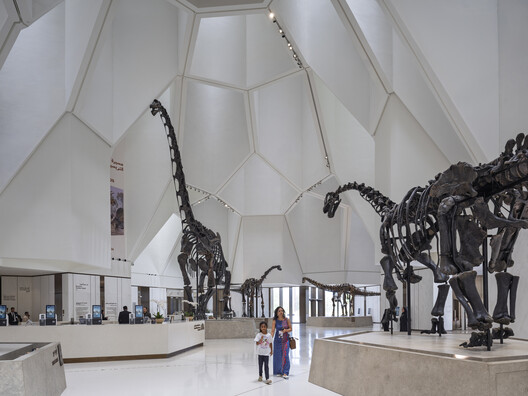 Natural History Museum Abu Dhabi / Mecanoo Natural History Museum Abu Dhabi / Mecanoo - Interior Photography