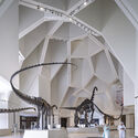 Natural History Museum Abu Dhabi / Mecanoo - Sustainability