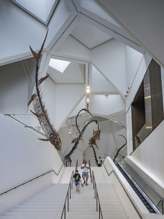 Natural History Museum Abu Dhabi / Mecanoo Natural History Museum Abu Dhabi / Mecanoo - Interior Photography, Stairs, Glass