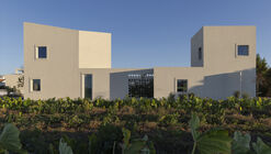 The Avlí Houses  / Ona i Ona Architecture and Design