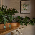 Mimado Restaurant / García de Alba + Ponce Arquitectos - Interior Photography, Restaurant