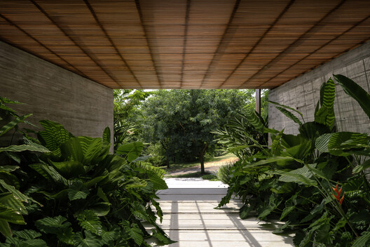 Flow House / Felipe Caboclo Arquitetura Flow House / Felipe Caboclo Arquitetura - Exterior Photography, Garden