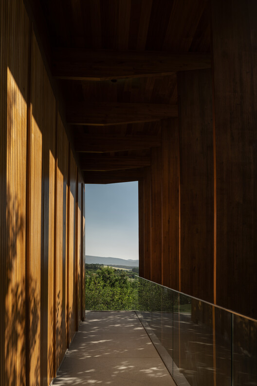 Flow House / Felipe Caboclo Arquitetura Flow House / Felipe Caboclo Arquitetura - Image 9 of 22