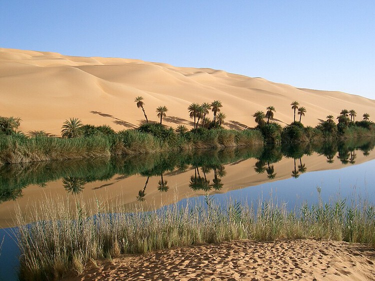 The Oasis Is Not a Destination: Architecture Along the Routes of the Desert - Image 6 of 10