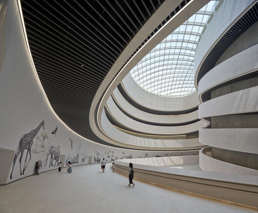 Shenzhen Natural History Museum Designed by 3XN, B+H Architects, and Zhubo Opens in China - Image 7 of 8