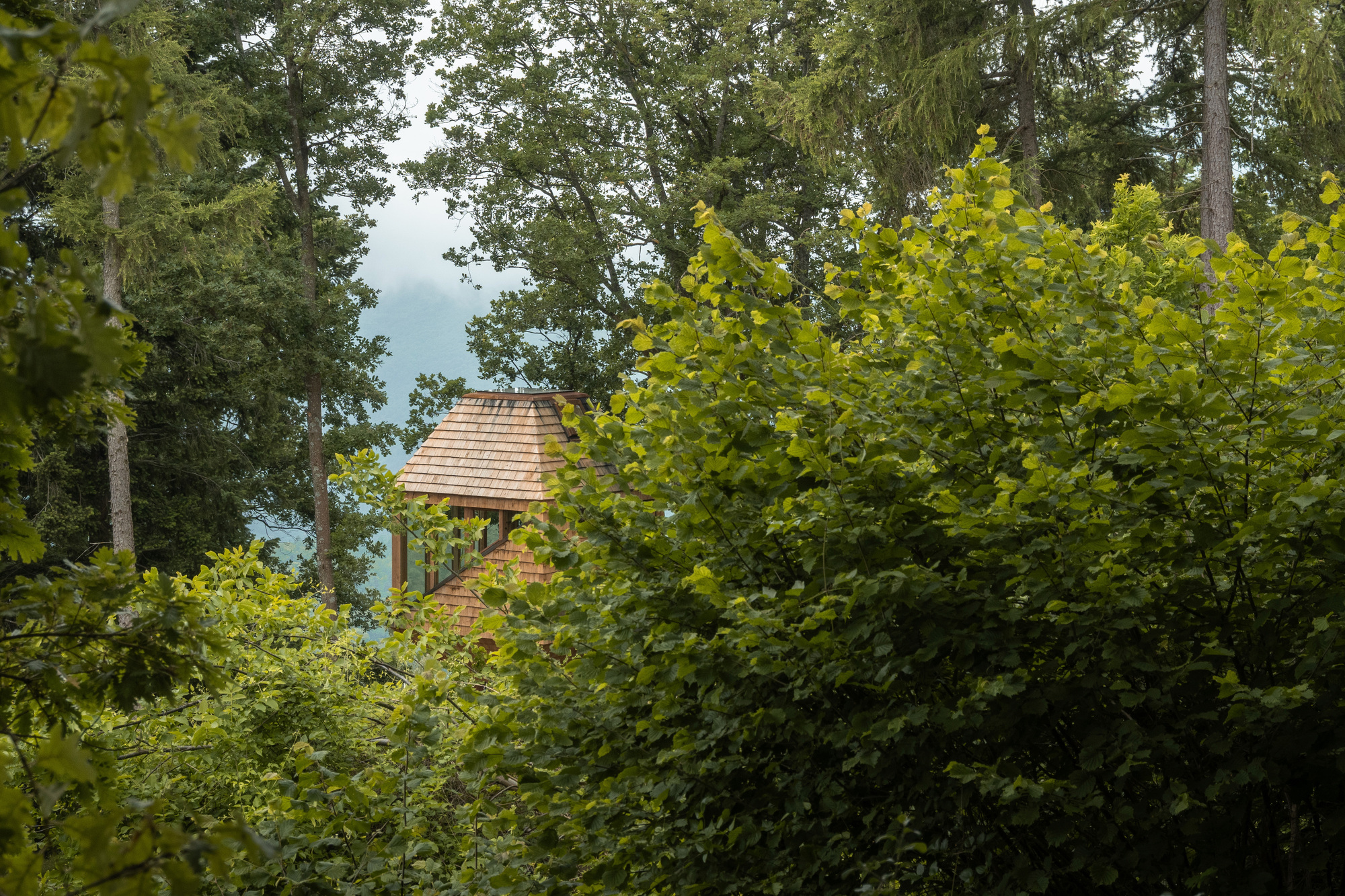 イタリア・アルプスのツリーハウス型小屋「TreeBOX – Casa sull'Albero」の写真 6/8