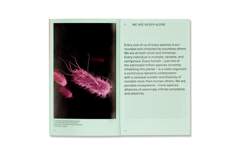 Has Architecture Ever Been Entirely Human? Beatriz Colomina and Mark Wigley on the Microbial Nature of Architecture - Image 16 of 23