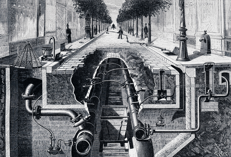 Has Architecture Ever Been Entirely Human? Beatriz Colomina and Mark Wigley on the Microbial Nature of Architecture - Featured Image