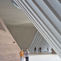 Shenzhen Natural History Museum / 3XN + B+H Architects + ZHUBO Design - Interior Photography, Museum, Stairs