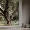 Treelithon - A countryside retreat  / Not a Number Architects - Interior Photography, Houses