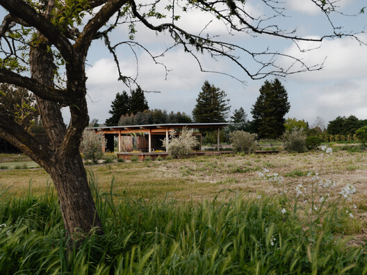 Live Oak Farm Pavilion / Austin Sandy Architects Live Oak Farm Pavilion / Austin Sandy Architects - Image 6 of 24