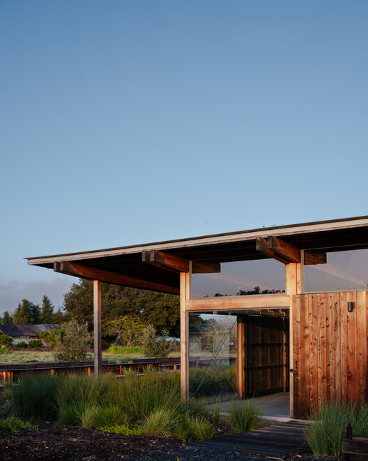 Live Oak Farm Pavilion / Austin Sandy Architects Live Oak Farm Pavilion / Austin Sandy Architects - Exterior Photography