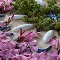 Parlour Gardens Exhibition Displays Miniature Ceramic Landscapes at Barcelona's Botanic Garden - Imagen 2 de 4