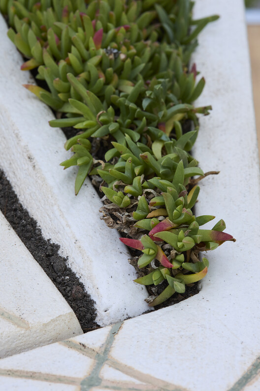 Parlour Gardens Exhibition Displays Miniature Ceramic Landscapes at Barcelona's Botanic Garden Parlour Gardens Exhibition Displays Miniature Ceramic Landscapes at Barcelona's Botanic Garden - Image 11 of 97