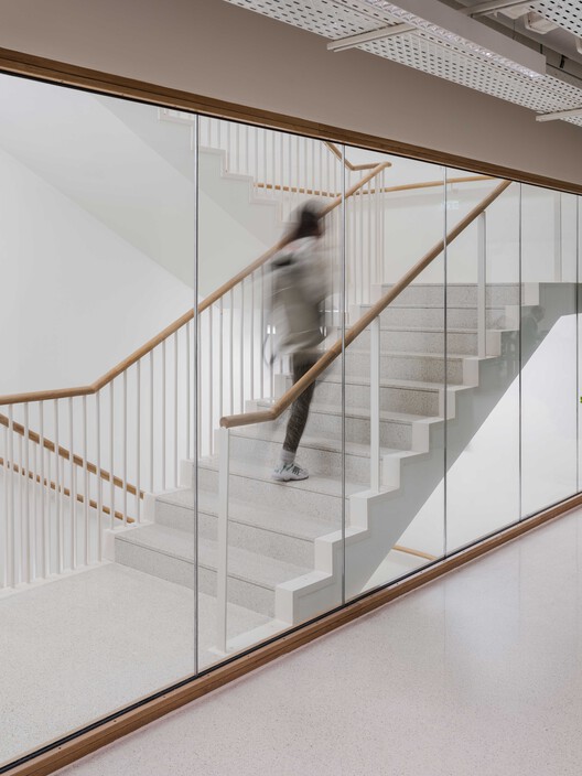 Rue Pavée, renovation project for a complex of historic buildings in Paris / MARS Architectes Rue Pavée, renovation project for a complex of historic buildings in Paris / MARS Architectes - Interior Photography, Stairs, Wood, Handrail