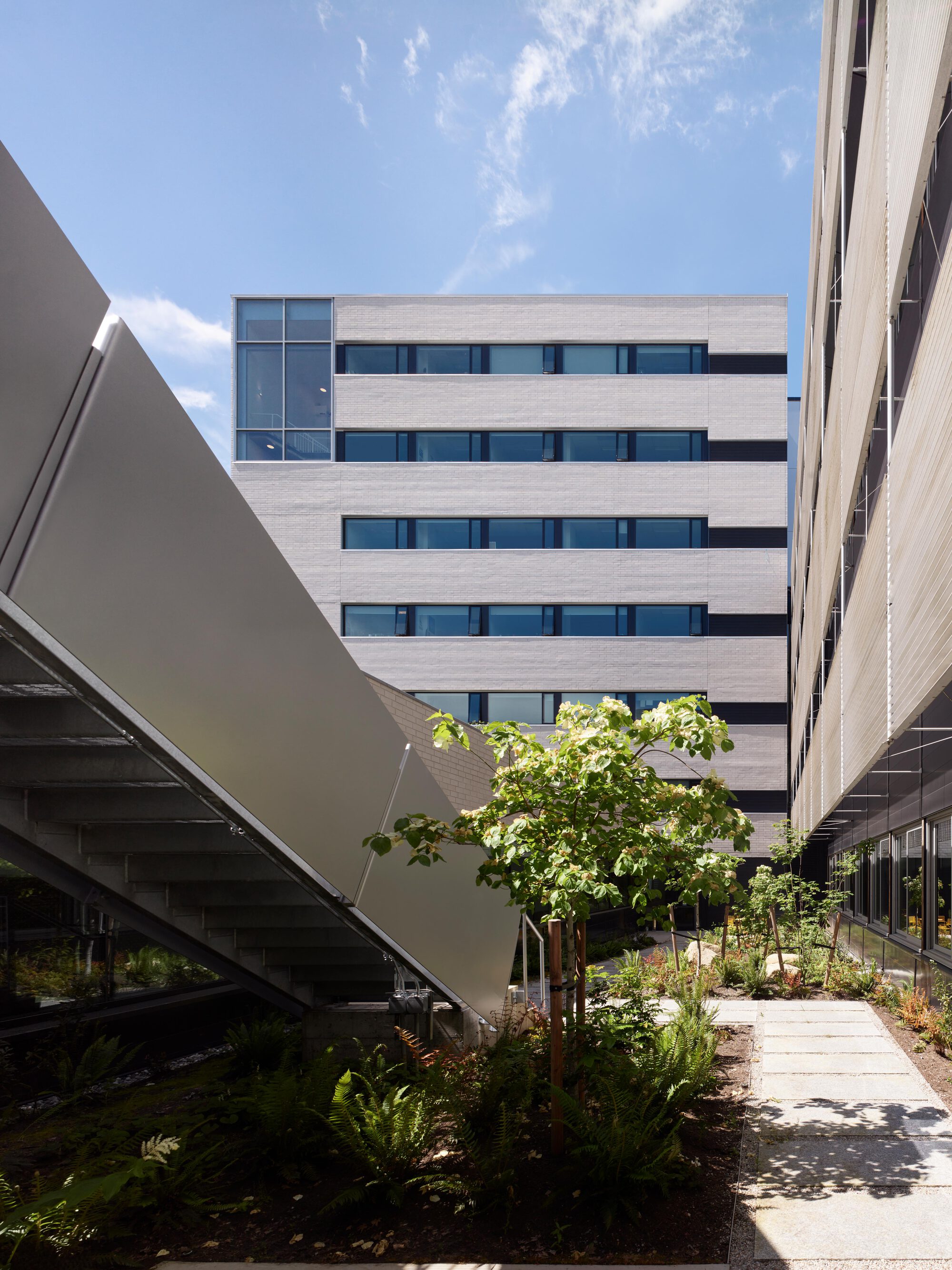 UBC Beaty Biodiversity Centre Addition, Ванкувер. Фото: Andrew Latreille