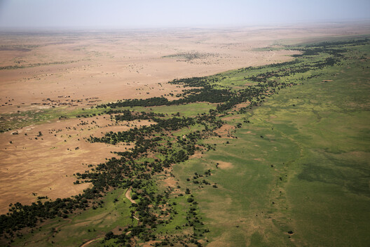 Africa and China Advance Great Green Walls as Continental Wildlife Corridors Africa and China Advance Great Green Walls as Continental Wildlife Corridors - Image 4 of 7