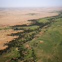 Africa and China Advance Great Green Walls as Continental Wildlife Corridors - 3 的图像 4