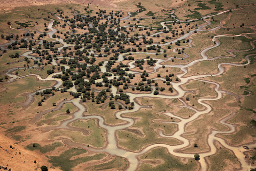 Africa and China Advance Great Green Walls as Continental Wildlife Corridors Africa and China Advance Great Green Walls as Continental Wildlife Corridors - Image 5 of 7