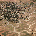 Africa and China Advance Great Green Walls as Continental Wildlife Corridors - 4 的图像 4