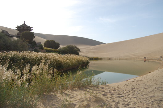 Africa and China Advance Great Green Walls as Continental Wildlife Corridors