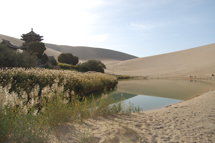 Africa and China Advance Great Green Walls as Continental Wildlife Corridors - Featured Image