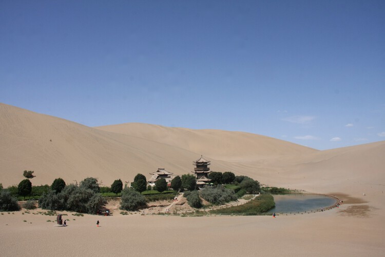 Africa and China Advance Great Green Walls as Continental Wildlife Corridors - Image 2 of 7