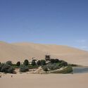 Africa and China Advance Great Green Walls as Continental Wildlife Corridors - 1 的图像 4