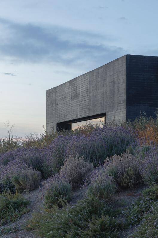 La Vigilia Winery / González Olsina & Vega Arquitectos La Vigilia Winery / González Olsina & Vega Arquitectos - Image 4 of 32
