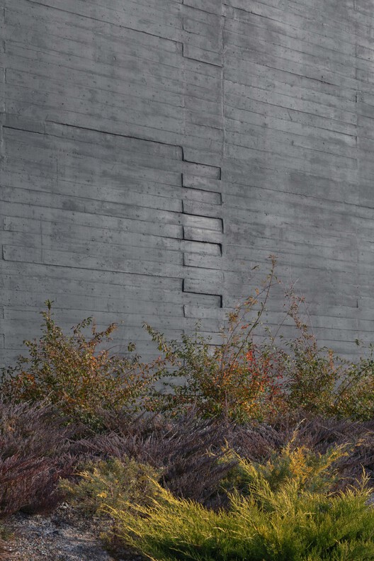 La Vigilia Winery / González Olsina & Vega Arquitectos La Vigilia Winery / González Olsina & Vega Arquitectos - Exterior Photography, Concrete