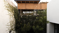 Rayón 376 Terrace / Eduardo Garretti studio