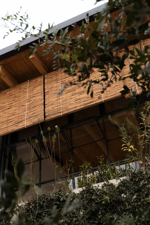 Rayón 376 Terrace / Eduardo Garretti studio Rayón 376 Terrace / Eduardo Garretti studio - Image 6 of 14