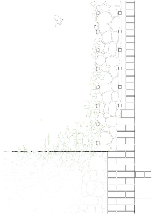 HAIN Vineyard Facilities  / undjurekbrüggen + AFEA - Image 28 of 32