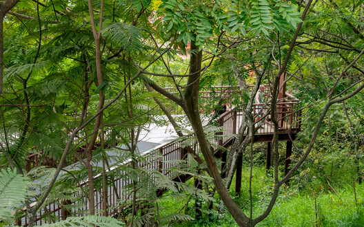 Cali Foothills Integral Corridor / Edward Conde Serna Arquitectos - Exterior Photography, Wood, Forest, Garden
