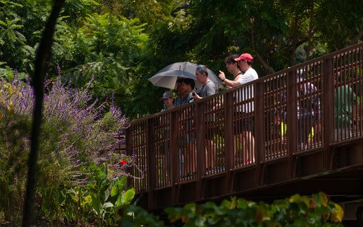 Cali Foothills Integral Corridor / Edward Conde Serna Arquitectos - Exterior Photography, Garden, Fence