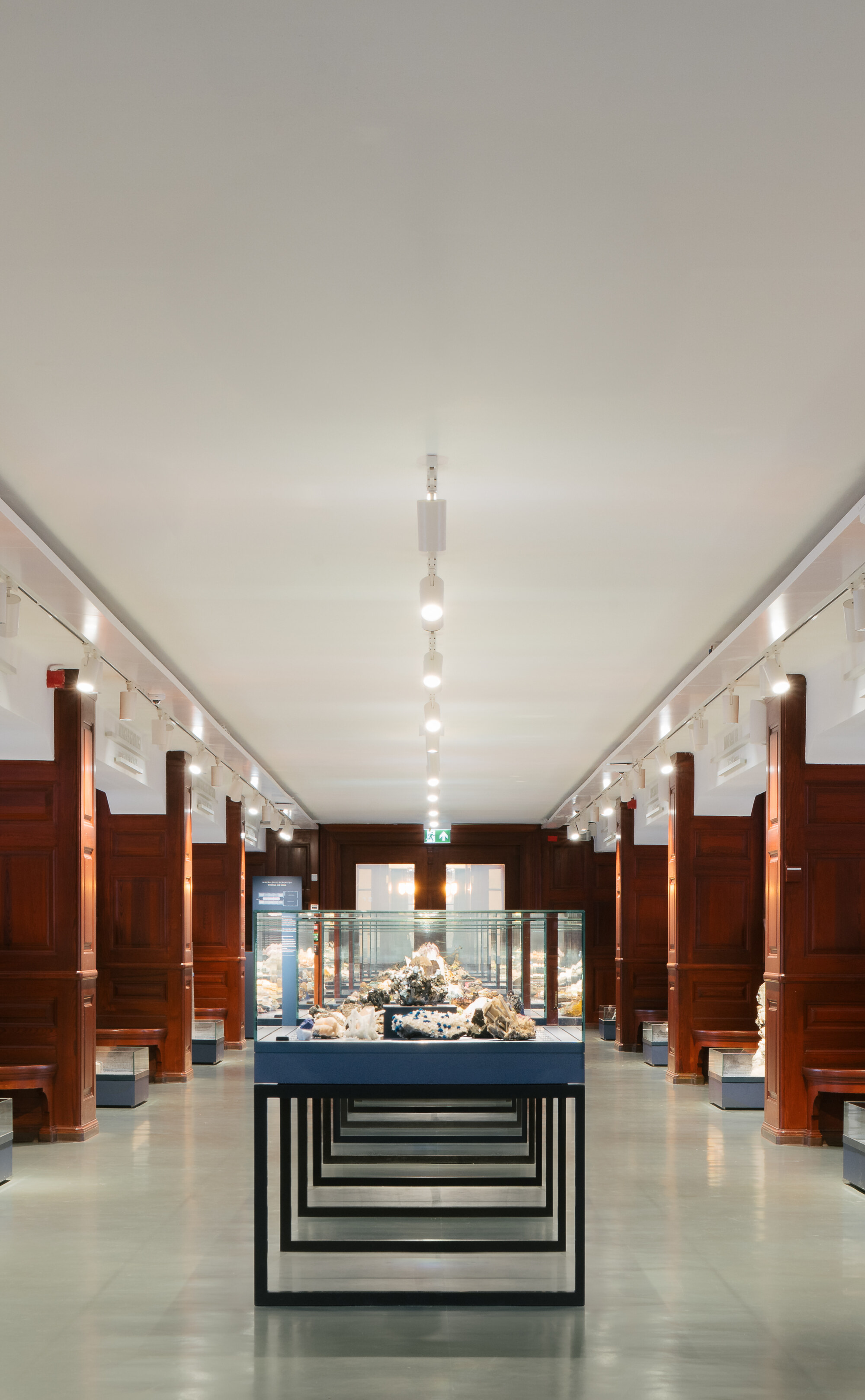 What Does a Museum Need? Inside the Exhibition Architecture of the Natural History Museum Oslo