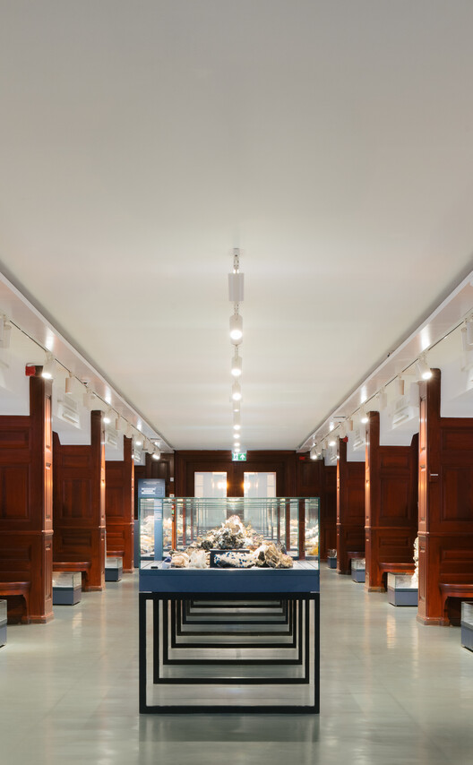 What Does a Museum Need? Inside the Exhibition Architecture of the Natural History Museum Oslo What Does a Museum Need? Inside the Exhibition Architecture of the Natural History Museum Oslo - Image 1 of 10