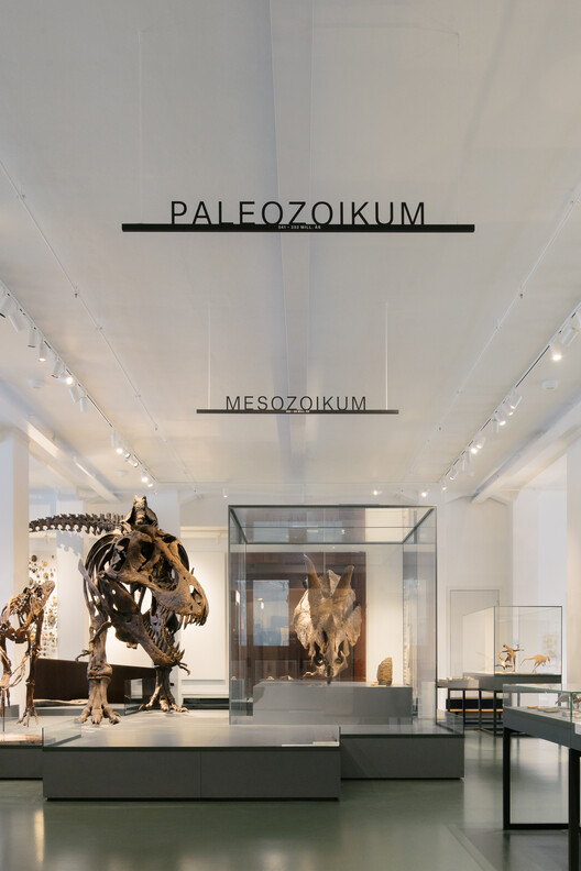 What Does a Museum Need? Inside the Exhibition Architecture of the Natural History Museum Oslo - Image 8 of 10